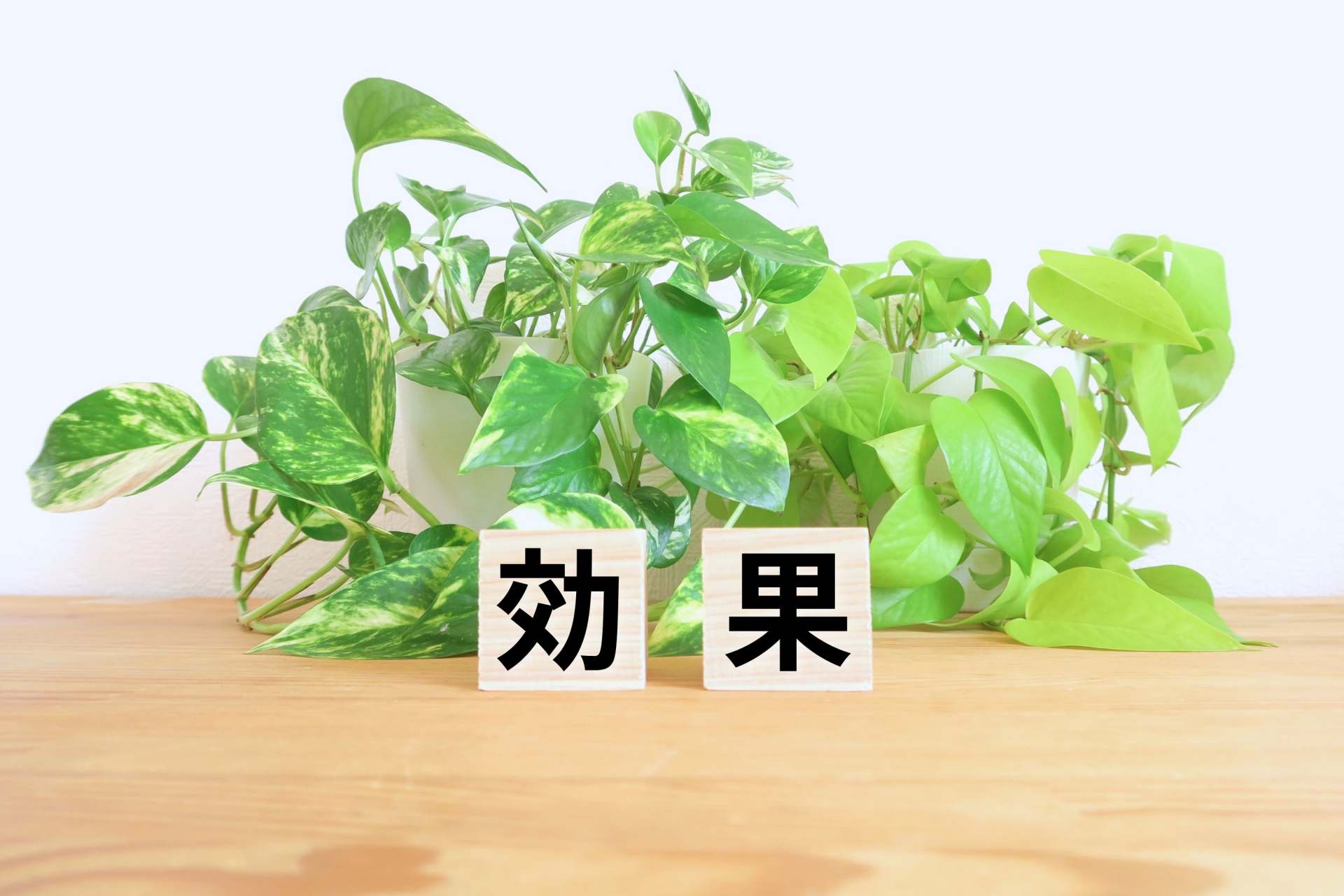 プレスリリースの効果的な使い方